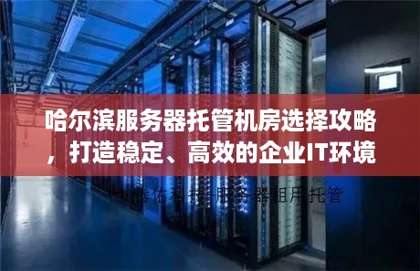 哈尔滨服务器托管机房选择攻略，打造稳定、高效的企业IT环境