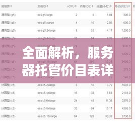 全面解析，服务器托管价目表详细指南