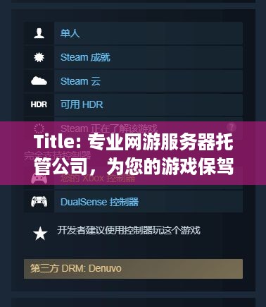 Title: 专业网游服务器托管公司，为您的游戏保驾护航