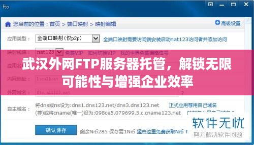 武汉外网FTP服务器托管，解锁无限可能性与增强企业效率