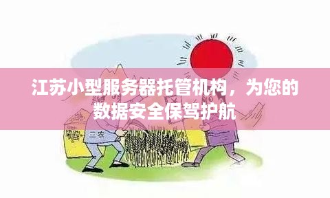 江苏小型服务器托管机构，为您的数据安全保驾护航