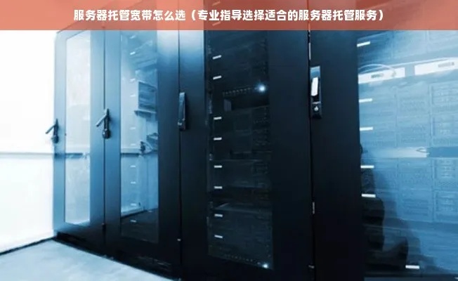 权威指南哈尔滨服务器托管哪家好？一份深入剖析与选择建议