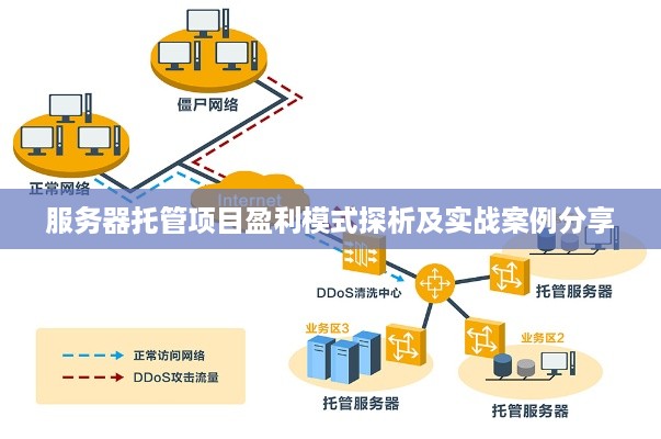 服务器托管项目盈利模式探析及实战案例分享