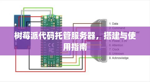 树莓派代码托管服务器，搭建与使用指南