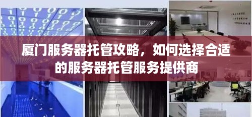 厦门服务器托管攻略，如何选择合适的服务器托管服务提供商