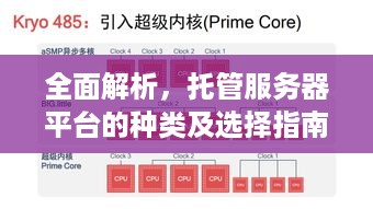 全面解析，托管服务器平台的种类及选择指南