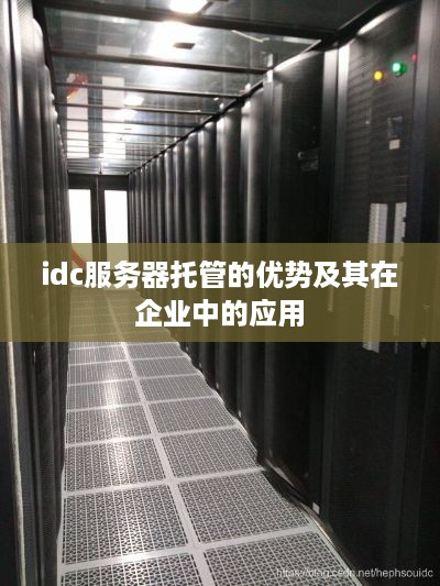 idc服务器托管的优势及其在企业中的应用