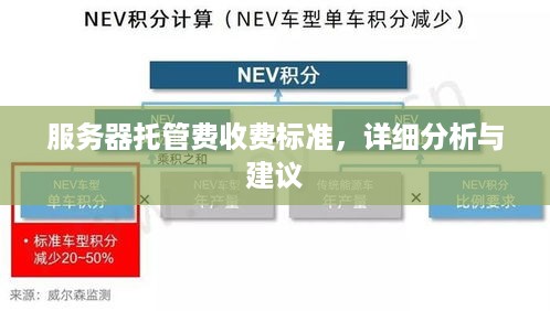 服务器托管费收费标准，详细分析与建议