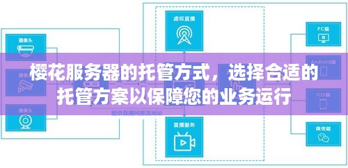 樱花服务器的托管方式，选择合适的托管方案以保障您的业务运行