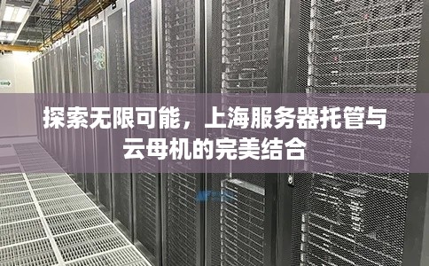 探索无限可能，上海服务器托管与云母机的完美结合