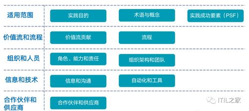 服务器托管教学视频，全面解析与实践指南