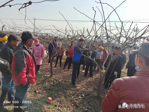 选择陕西本地服务器托管公司的关键因素与优势