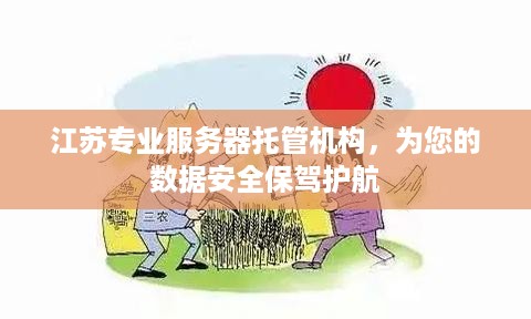 江苏专业服务器托管机构，为您的数据安全保驾护航