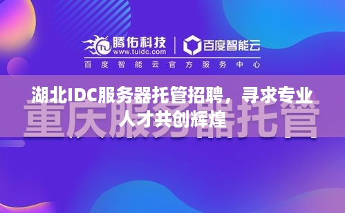 湖北IDC服务器托管招聘，寻求专业人才共创辉煌