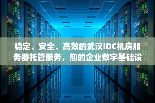 稳定、安全、高效的武汉IDC机房服务器托管服务，您的企业数字基础设施的坚实后盾