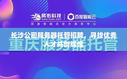 长沙公司服务器托管招聘，寻找优秀人才共创辉煌