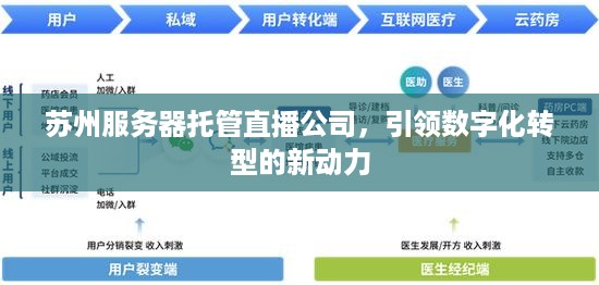 苏州服务器托管直播公司，引领数字化转型的新动力