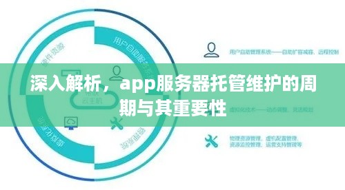 深入解析，app服务器托管维护的周期与其重要性