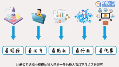 掌握服务器托管费用转让流程，从理解到操作的全方位指南