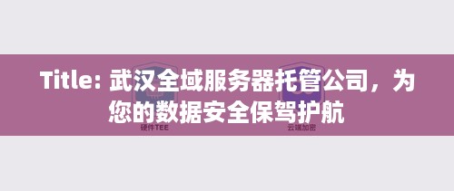 Title: 武汉全域服务器托管公司，为您的数据安全保驾护航