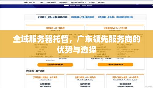 全域服务器托管，广东领先服务商的优势与选择