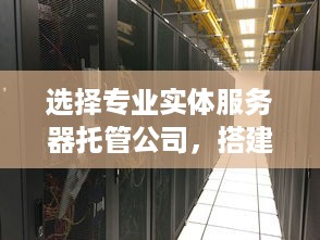 选择专业实体服务器托管公司，搭建高效稳定网络平台