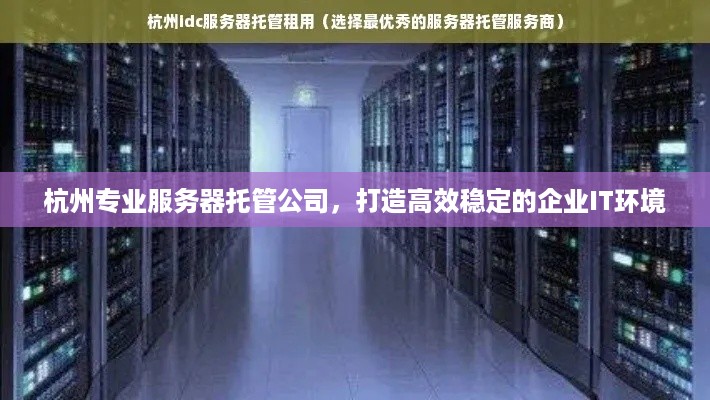 杭州专业服务器托管公司，打造高效稳定的企业IT环境