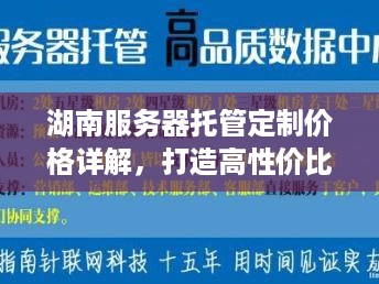 湖南服务器托管定制价格详解，打造高性价比解决方案