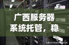 广西服务器系统托管，稳定、安全、高效的理想选择