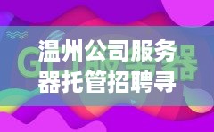 温州公司服务器托管招聘寻找专业服务器托管服务提供商