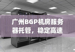 广州BGP机房服务器托管，稳定高速的网络环境助力企业业务发展