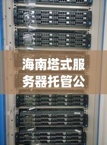 海南塔式服务器托管公司，打造稳定可靠IT基础设施的一站式解决方案