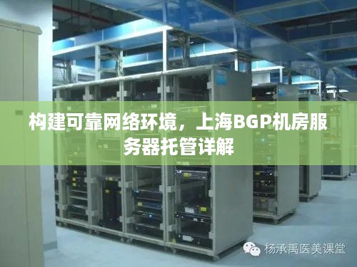 构建可靠网络环境，上海BGP机房服务器托管详解