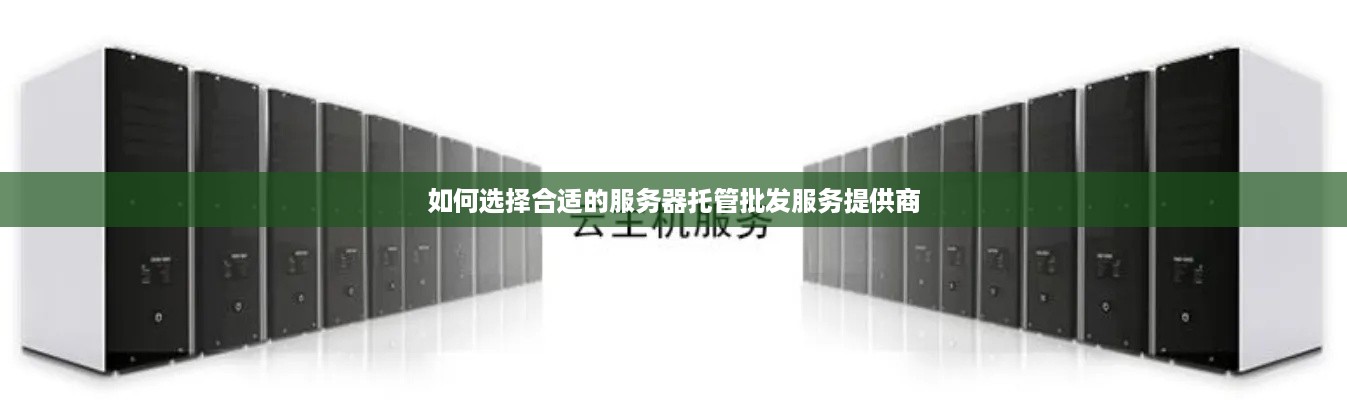 如何选择合适的服务器托管批发服务提供商