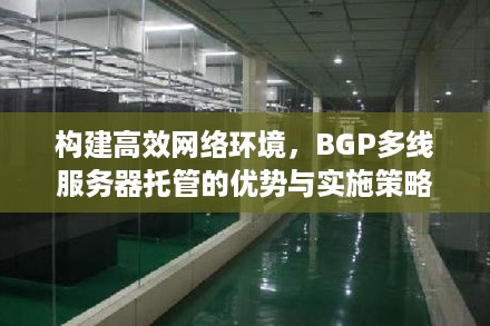 构建高效网络环境，BGP多线服务器托管的优势与实施策略