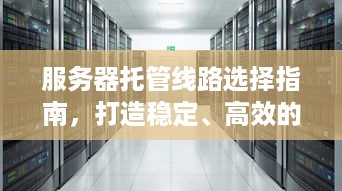 服务器托管线路选择指南，打造稳定、高效的网络环境