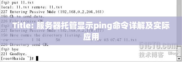 Title: 服务器托管显示ping命令详解及实际应用