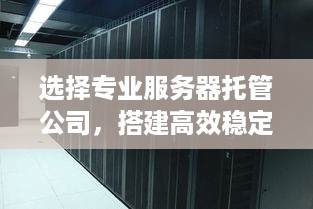 选择专业服务器托管公司，搭建高效稳定的网络环境