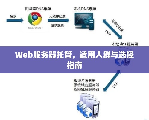 Web服务器托管，适用人群与选择指南