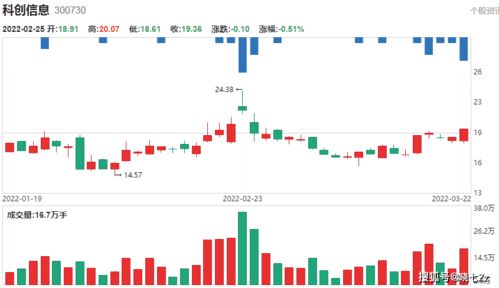 服务器托管公司，您的业务运行的关键支持者