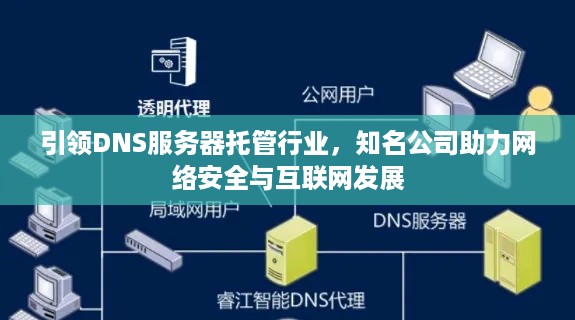 引领DNS服务器托管行业，知名公司助力网络安全与互联网发展