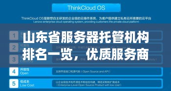 山东省服务器托管机构排名一览，优质服务商助力企业数字化转型