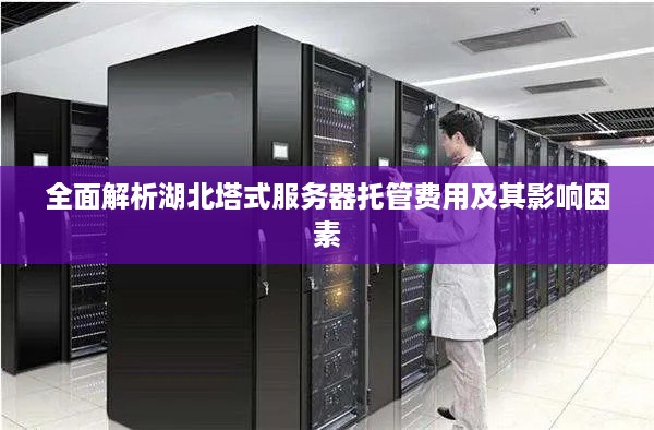 全面解析湖北塔式服务器托管费用及其影响因素