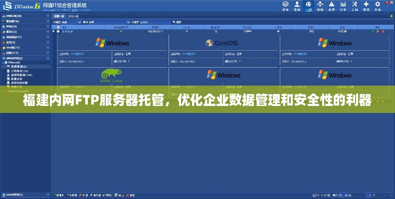 福建内网FTP服务器托管，优化企业数据管理和安全性的利器