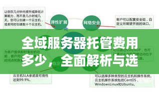 全域服务器托管费用多少，全面解析与选择建议