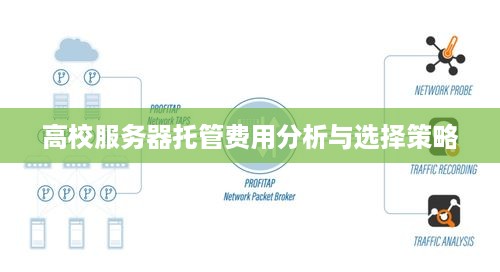 高校服务器托管费用分析与选择策略