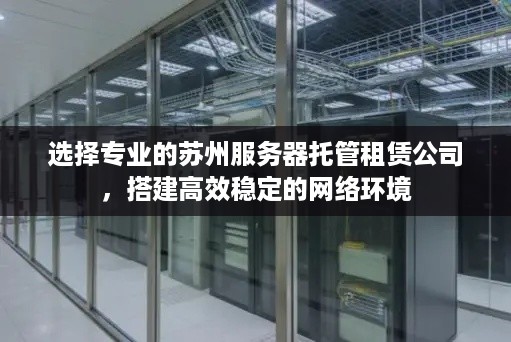 选择专业的苏州服务器托管租赁公司，搭建高效稳定的网络环境