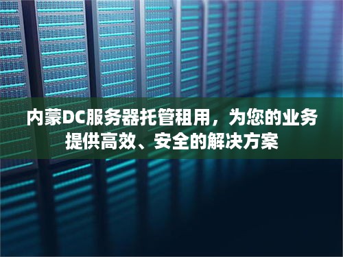 内蒙DC服务器托管租用，为您的业务提供高效、安全的解决方案