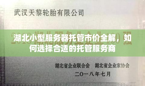 湖北小型服务器托管市价全解，如何选择合适的托管服务商