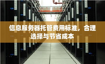 信息服务器托管费用标准，合理选择与节省成本